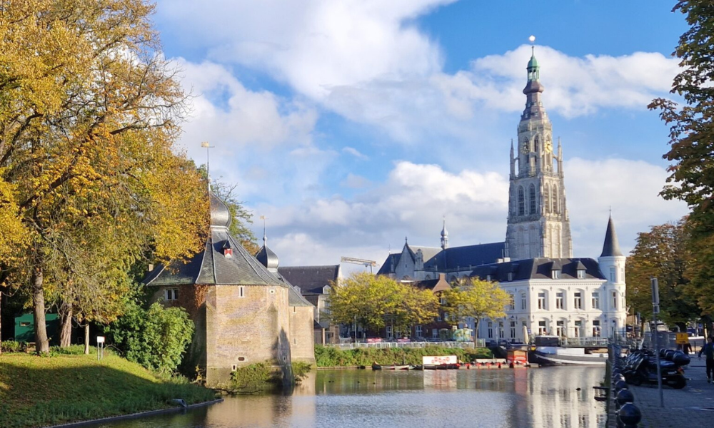 Website laten maken in Breda door VT-Marketing